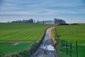 Krok po kroku: jak zaprojektować kuchnię w darmowym programie 3D